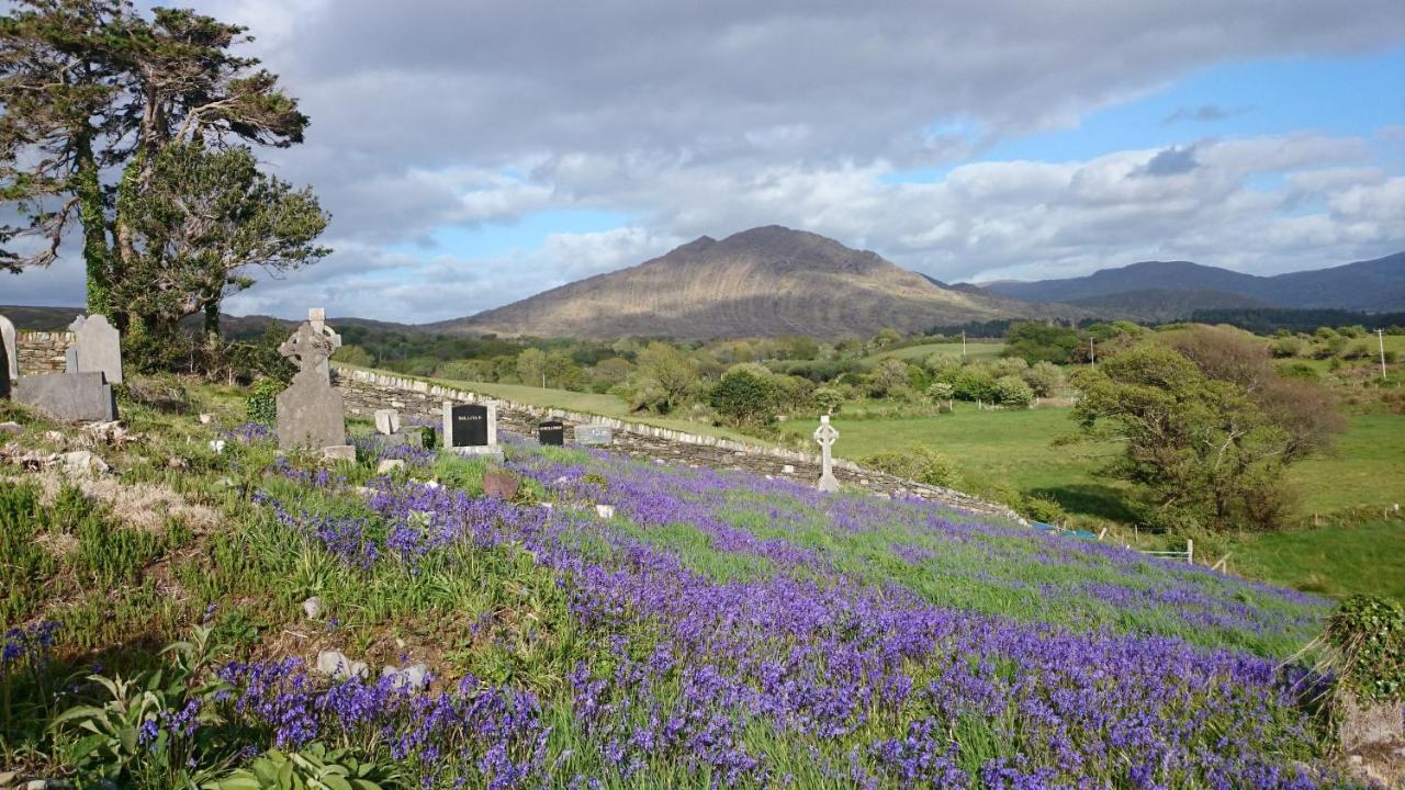 Kenmare Eco Lodge Eksteriør bilde