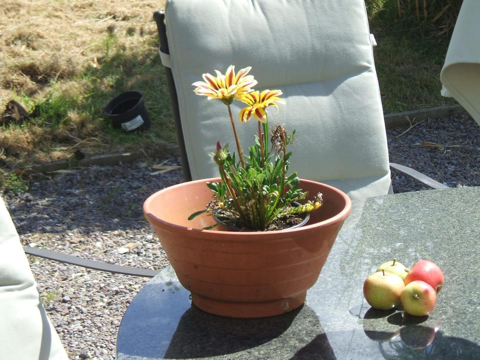Kenmare Eco Lodge Eksteriør bilde