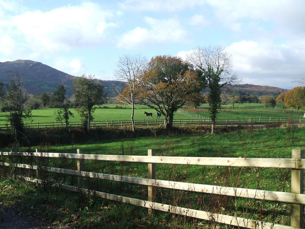 Kenmare Eco Lodge Eksteriør bilde